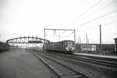 Haacht - BD-4056.jpg